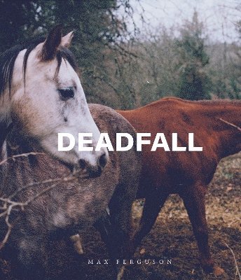 Deadfall 1