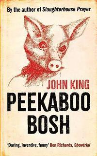 bokomslag Peekaboo Bosh
