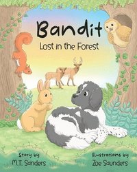 bokomslag Bandit - Lost in the Forest