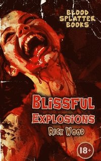 bokomslag Blissful Explosions