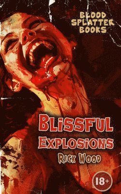 bokomslag Blissful Explosions