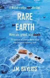 bokomslag Rare Earth