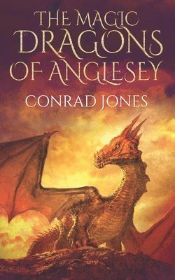 bokomslag The Magic Dragons of Anglesey