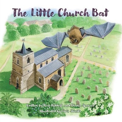 Little Church Bat 1