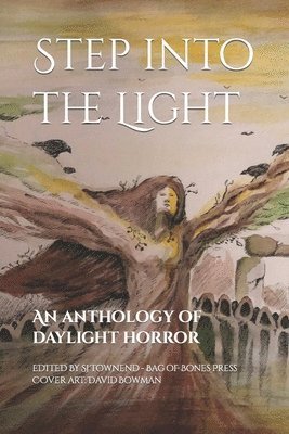 Maxwell Marais, Bryson Richard, SJ Townend - STEP INTO THE LIGHT, Häftad