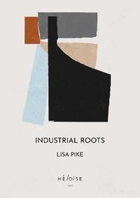 bokomslag Industrial Roots
