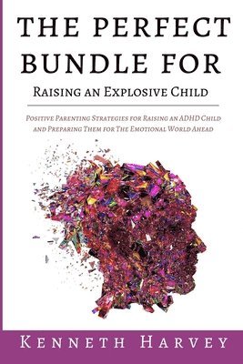 bokomslag Perfect Bundle For Raising an Explosive Child