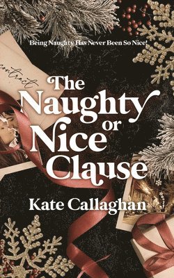bokomslag Naughty Or Nice Clause