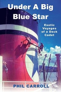 bokomslag Under a Big Blue Star