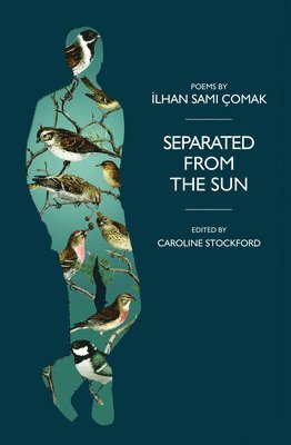 Separated from the Sun 1