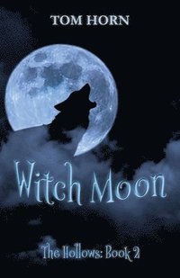 bokomslag Witch Moon