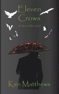 bokomslag Eleven Crows