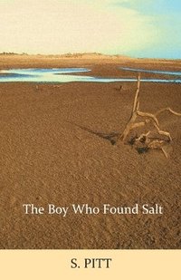 bokomslag Boy Who Found Salt