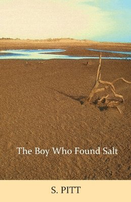 bokomslag Boy Who Found Salt