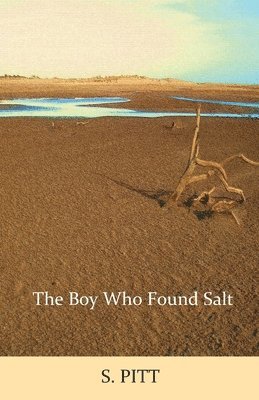 bokomslag The Boy Who Found Salt