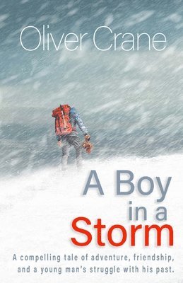 bokomslag A Boy in a Storm