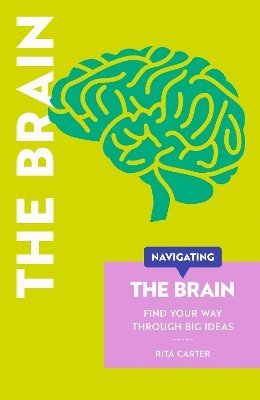 Navigating The Brain 1