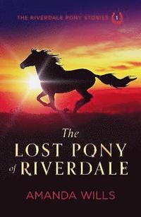 bokomslag The Lost Pony of Riverdale