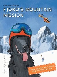 bokomslag Fjord's Mountain Mission