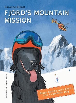 Fjord's Mountain Mission 1