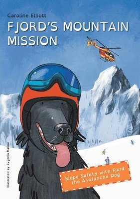 bokomslag Fjord's Mountain Mission