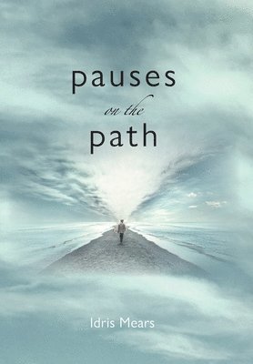 bokomslag Pauses on the Path