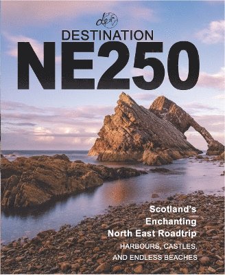 bokomslag Destination NE250