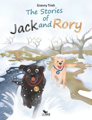 Granny Trish - Stories of Jack and Rory, Häftad