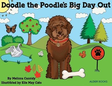 bokomslag Doodle the Poodle's Big Day Out