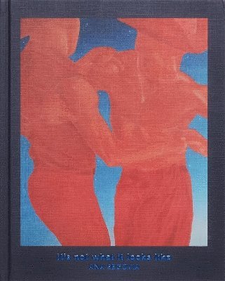 Ana Segovia - It's Not What It Looks Like, Inbunden