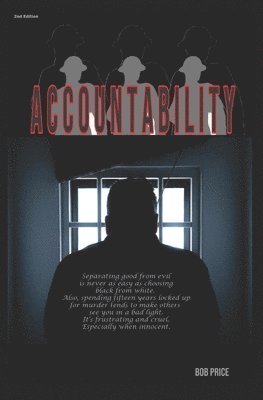 bokomslag Accountability