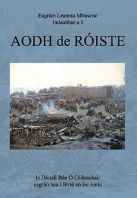 bokomslag Aodh de Róiste