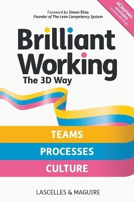 bokomslag Brilliant Working the 3D Way