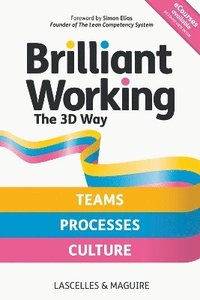 bokomslag Brilliant Working the 3D Way