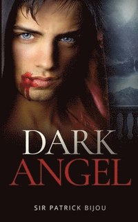 bokomslag Dark Angel