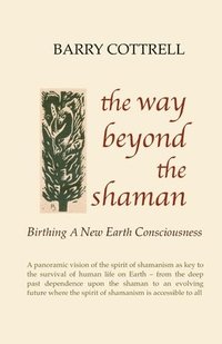 bokomslag The Way Beyond The Shaman