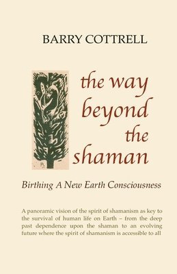 bokomslag Way Beyond The Shaman