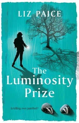bokomslag Luminosity Prize