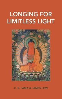 bokomslag Longing for Limitless Light