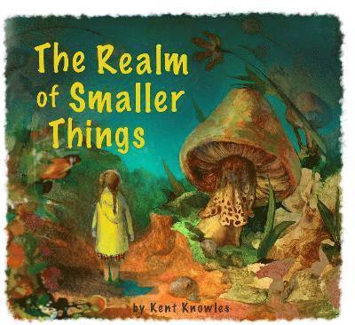The Realm of Smaller Things 1
