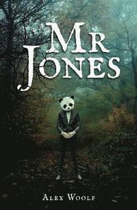 bokomslag Mr Jones