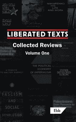 Louis Allday, Mahmoud Najib - Liberated Texts, Collected Reviews, Häftad
