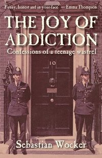 bokomslag JOY OF ADDICTION