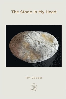 Stone In My Head