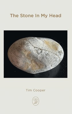 Stone In My Head