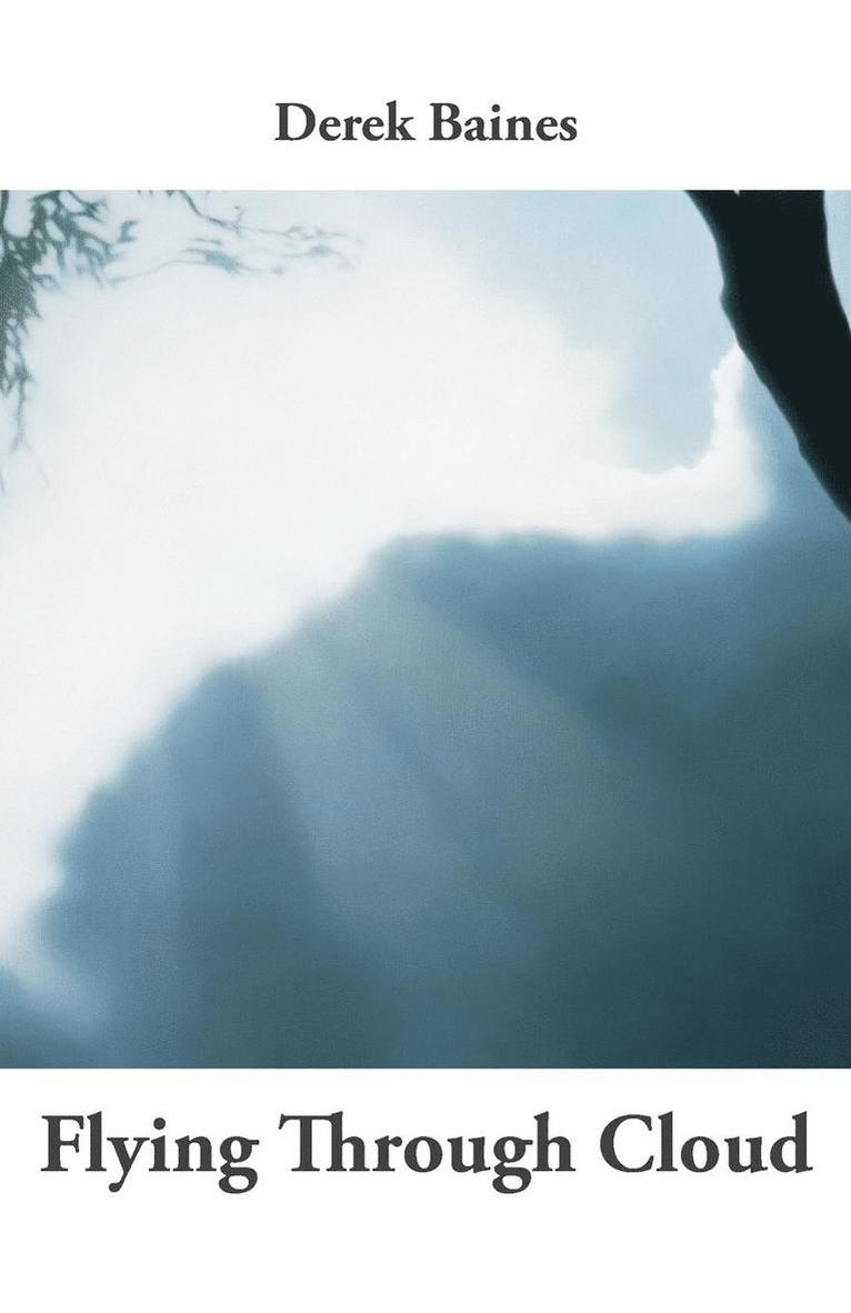 D Baines, Derek Baines - Flying Through Cloud, Häftad