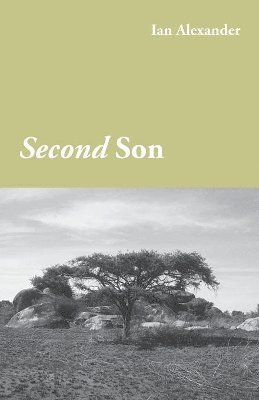 Second Son 1