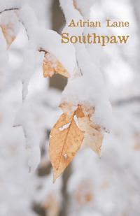 bokomslag Southpaw