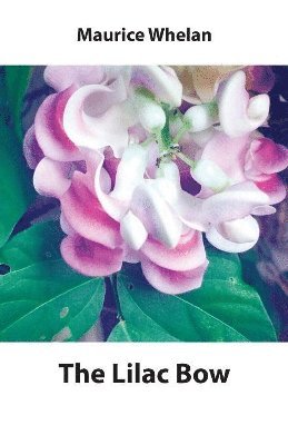 Lilac Bow