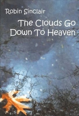 bokomslag Clouds Go Down to Heaven